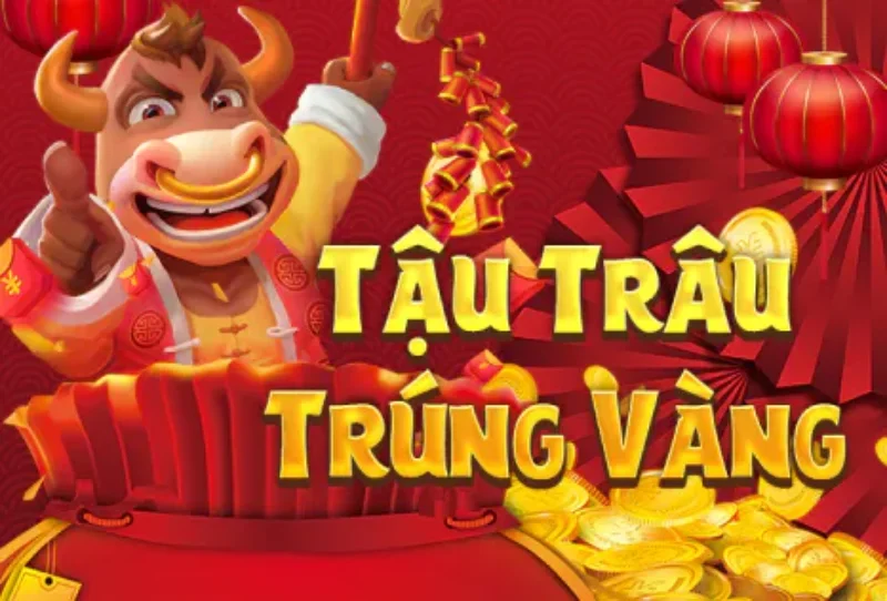 Kỹ thuật tậu trâu trúng vàng khi quay hũ Kỹ thuật tậu trâu trúng vàng khi quay hũ